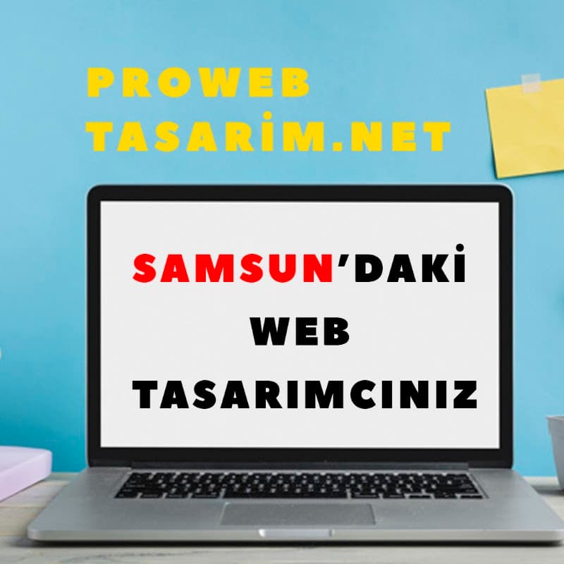 Samsun Pro Web Tasarım görseli