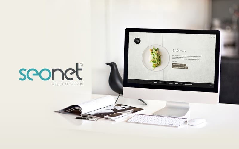 SeoNet Profesyonel Web Tasarım Ajansı - Ankara Kurumsal Web Tasarım Çözümleri görseli