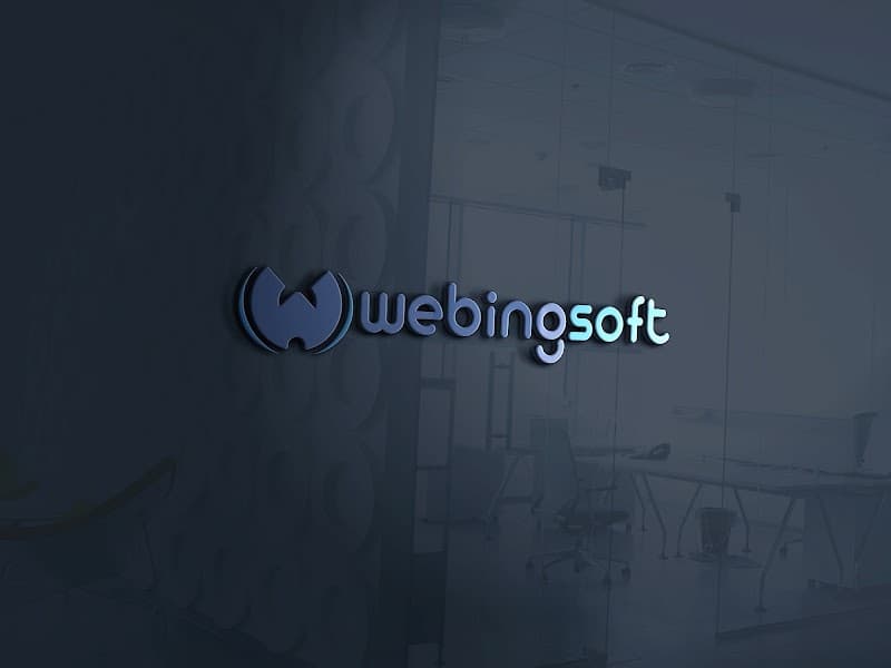 Webingsoft Dijital Pazarlama Ajansı görseli