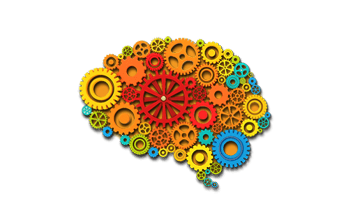 Brain Ajans - Web Tasarım - E-ticaret Sitesi Web Tasarımı - SEO Ankara Web tasarımcısı görseli