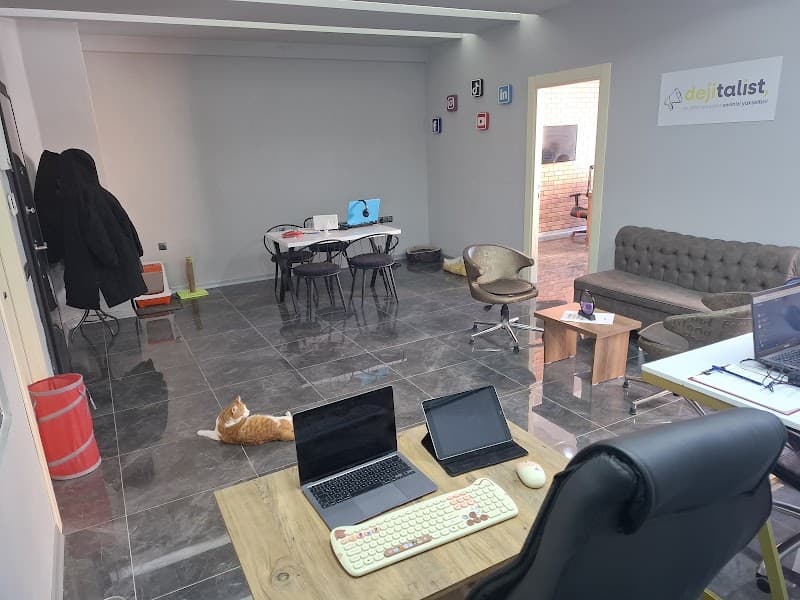 Dejitalist - Eskişehir Web Tasarım görseli