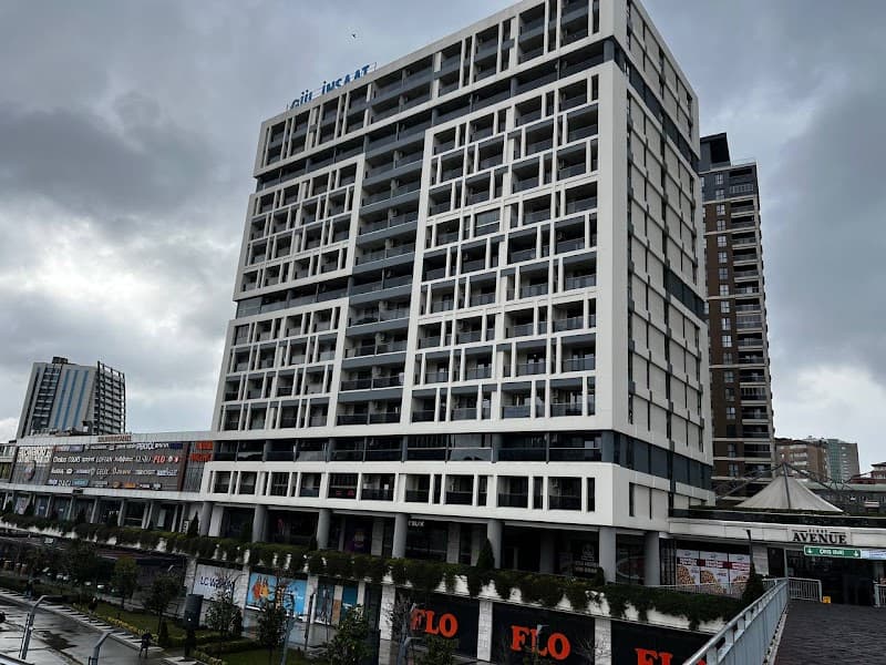 Dijital Fikir SEO Ajansı İstanbul görseli
