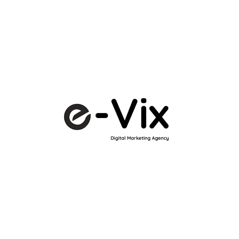 e-Vix E-Ticaret Yazılım ve Reklam Ajansı görseli