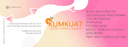 Kumkuat Dijital Medya | İzmir Kreatif Reklam Ajansı, Tanıtım Filmi, Sosyal Medya Yönetimi, Grafik Tasarım, Web Tasarım, SEO logo