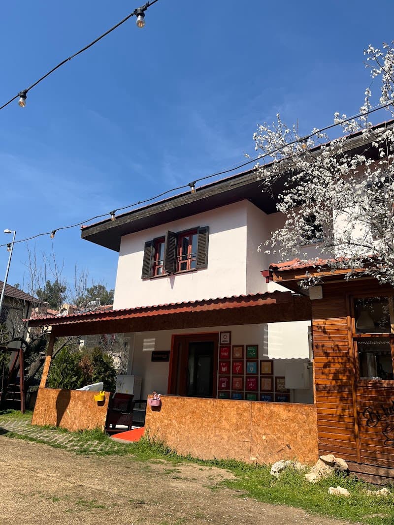 Merinyas - Denizli Yaratıcı Ajans görseli