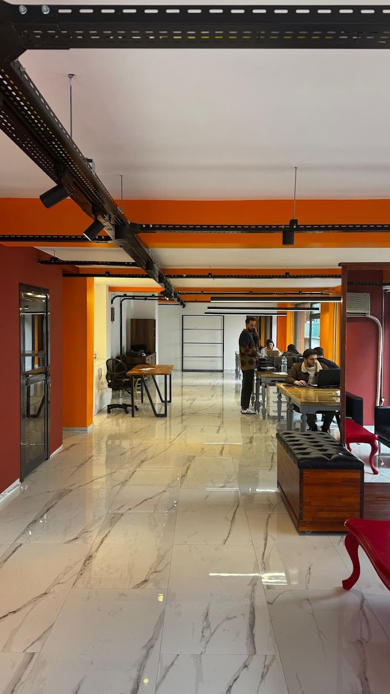 Şeftali Agency görseli
