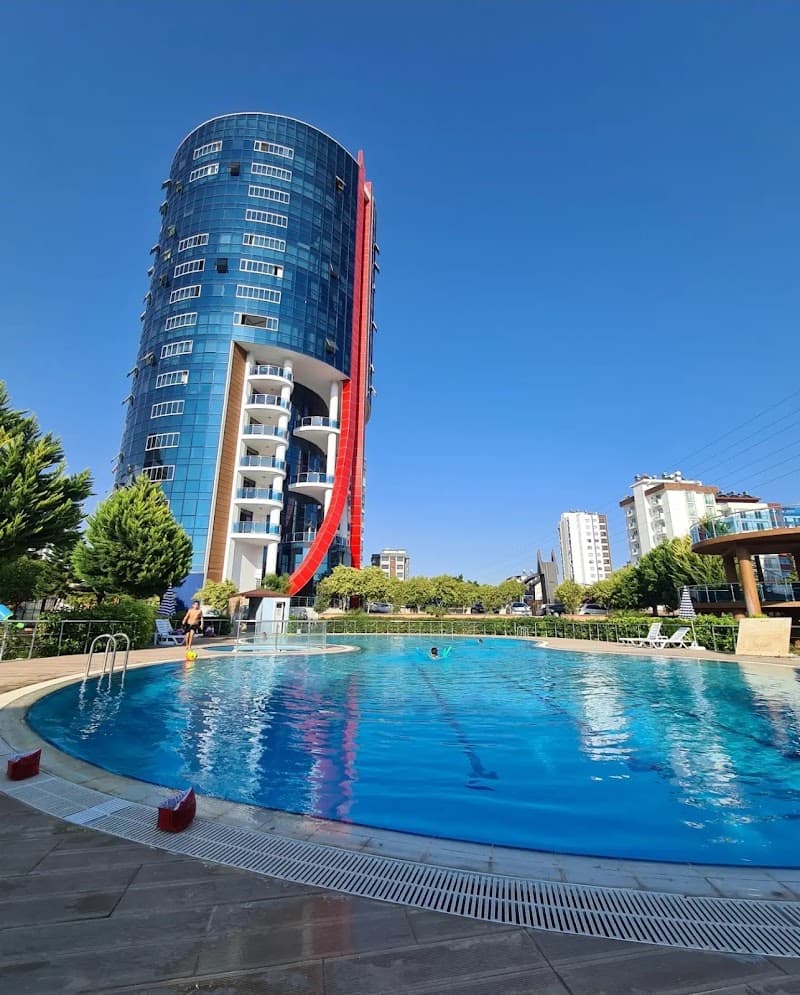 Selahattin Dijital Reklam Ajansı görseli