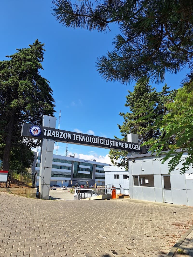 Trabzon Teknokent görseli
