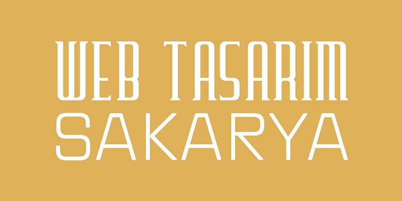 Web Tasarım Sakarya & SEO görseli