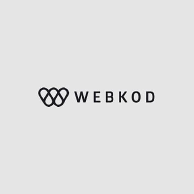 WEBKOD Dijital Pazarlama ve SEO Ajansı görseli