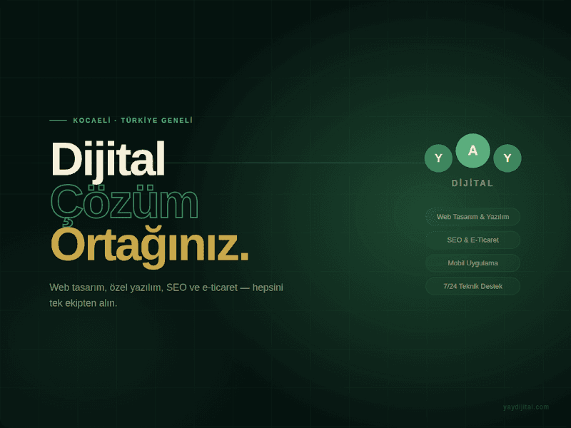 Yay Dijital | Web Tasarım & Yazılım - Kocaeli görseli